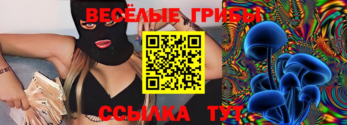Псилоцибиновые грибы прущие грибы Чапаевск
